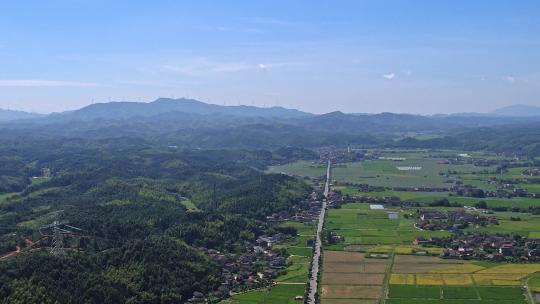 乡村稻田