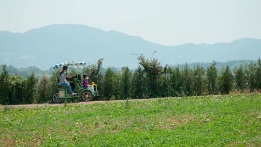 一家人骑着四轮自行车在京道安城农地游览
