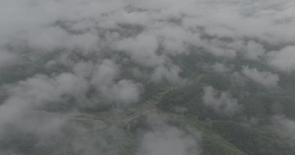 大自然森林茶园村庄云雾大山云海