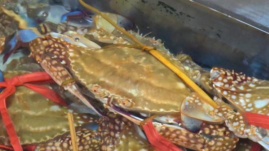 福建厦门第八市场海鲜市场售卖的螃蟹