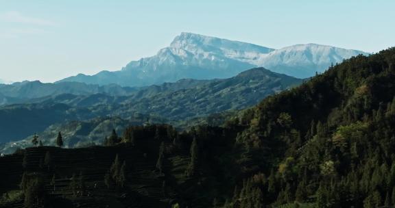 峨眉山下绿茶园航拍风景