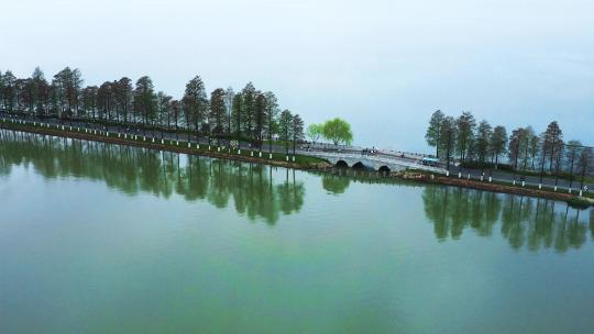 航拍武汉东湖绿道