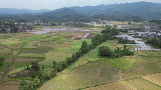 美丽乡村农田农业种植山川丘陵航拍