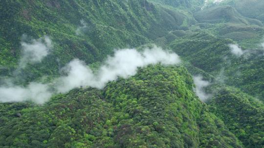 春季雨后高山上的云海