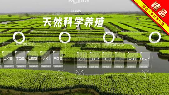精品 · 三维科技农业种植实拍后期合成AE视频素材教程下载