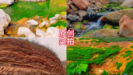 大山峡谷里清澈的涓涓溪流和嫩绿的水苔高清在线视频素材下载