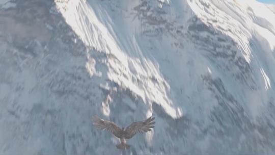 老鹰飞过雪山之巅