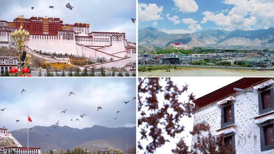 西藏·布达拉宫·延时1080p 25p高清在线视频素材下载