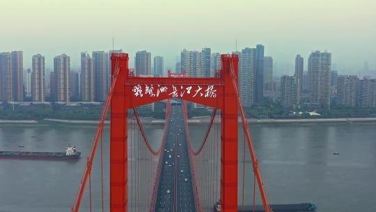 航拍鹦鹉洲长江大桥车流4k视频素材模板下载