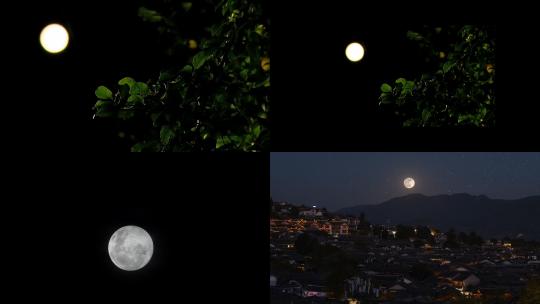 【合集】月亮树叶夜空群山