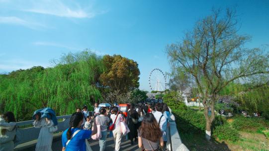 上海顾村公园延时高清在线视频素材下载