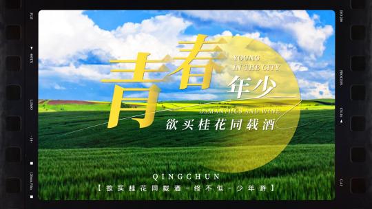 唯美胶片电影vlog文字片头