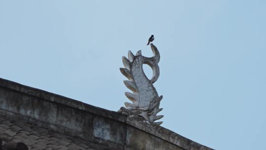 古建筑屋脊兽屋顶小鸟