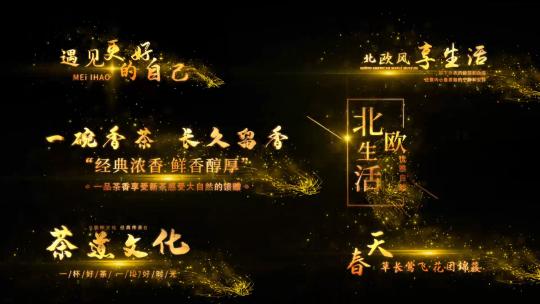 大气金色光效字幕条AE模板