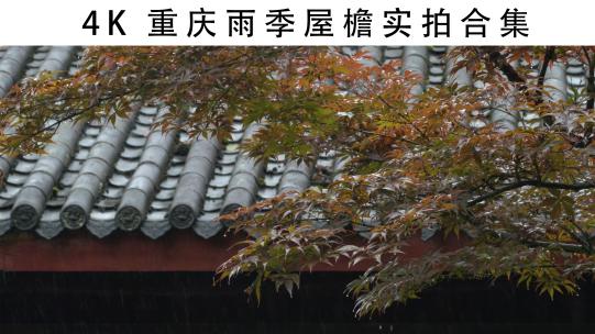 4K重庆下雨雨季屋檐实拍合集