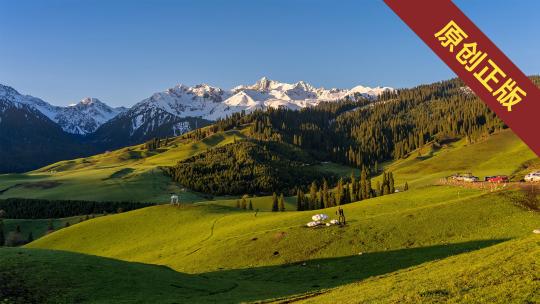 新疆伊犁恰西草原雪山