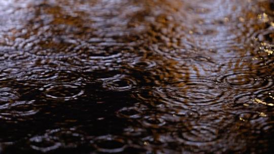 城市下雨天地面滴水 水滴落叶情绪低落空镜视频素材模板下载