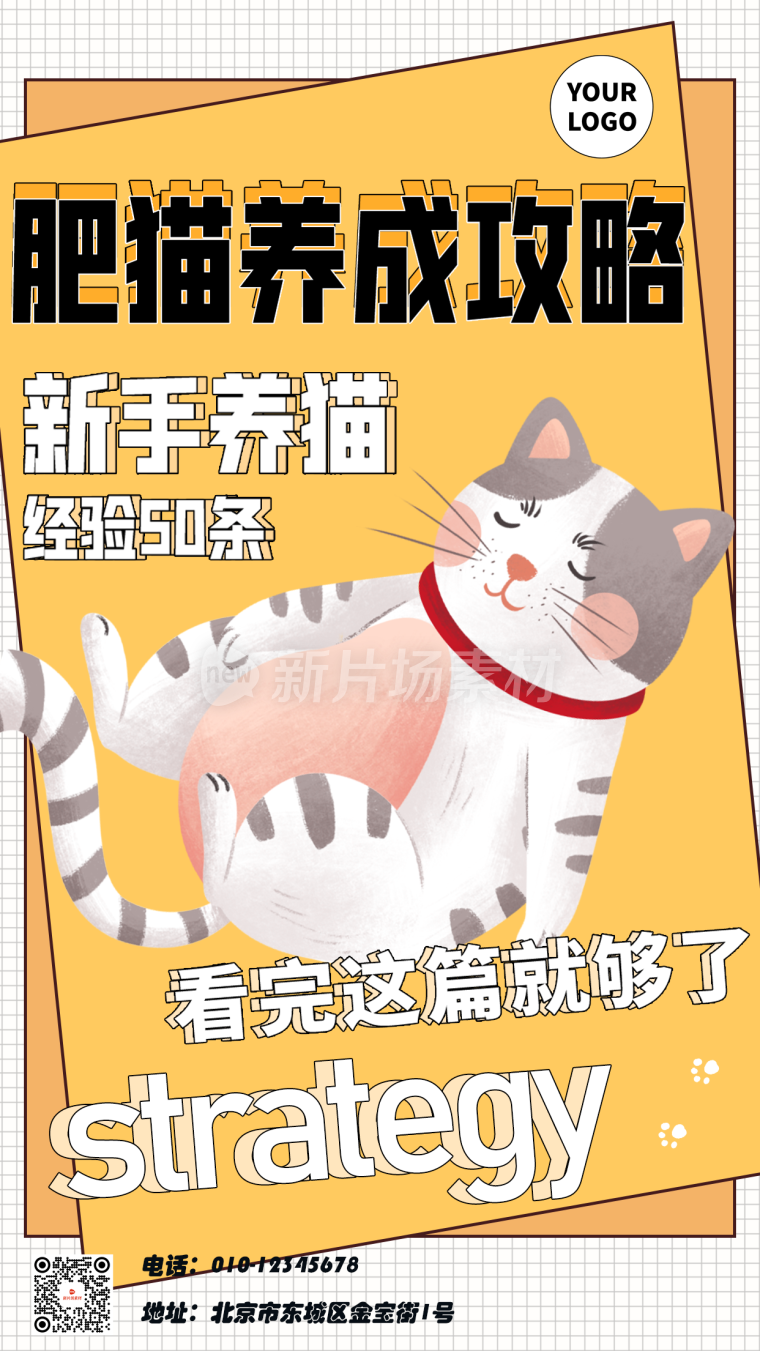 萌宠宠物饲养教学封面海报简约风
