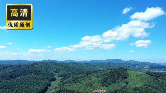 航拍森林空镜 天然氧吧 自然 蓝天白云