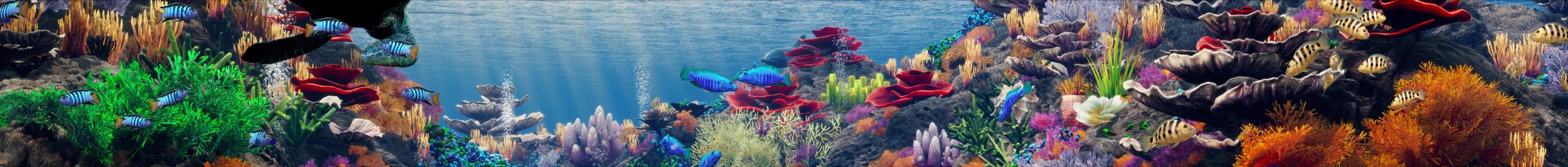 三维海底世界鱼群珊瑚唯美