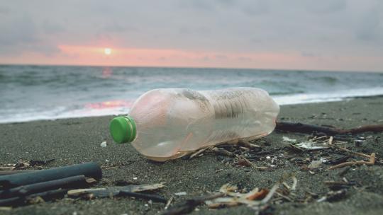 岸边的塑料瓶