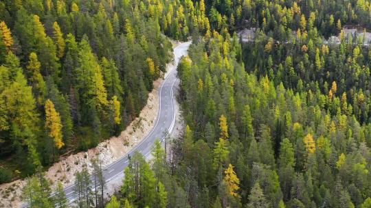 秋天公路和森林的鸟瞰图。意大利白云石阿尔卑斯山。森林和道路。