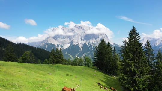 奥地利阿尔卑斯山祖格斯皮策山云马视频素材模板下载