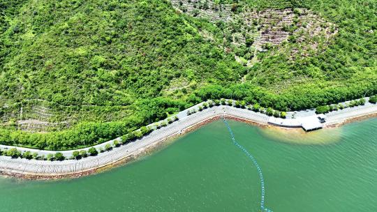 航拍广东惠州大亚湾海岸线绿道自然景观视频素材模板下载