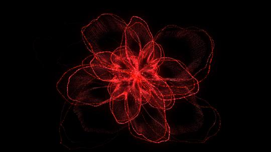 花朵花瓣唯美绚丽粒子特效动画4KAE工程