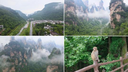 张家界 武陵源 自然风景