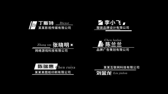 企业现代简洁字幕标题设计人名条