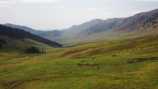 航拍新疆绿色的山谷