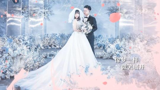 轻奢韩式婚礼电子相册MVAE视频素材教程下载