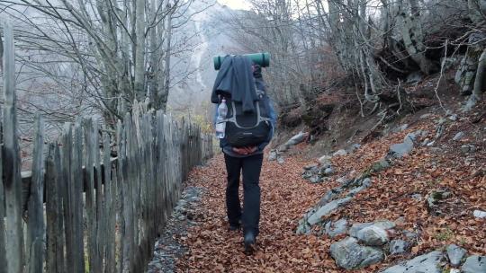 一个人行走在布满落叶的小路