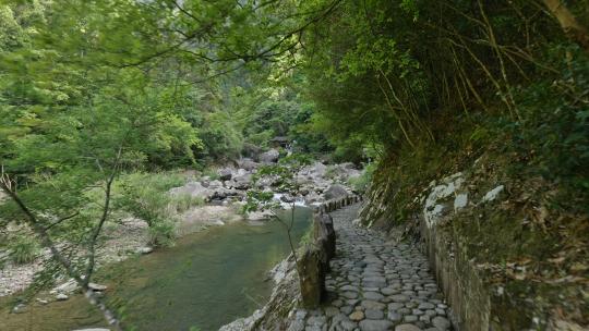 浙江温州楠溪江自然风景，龙湾潭