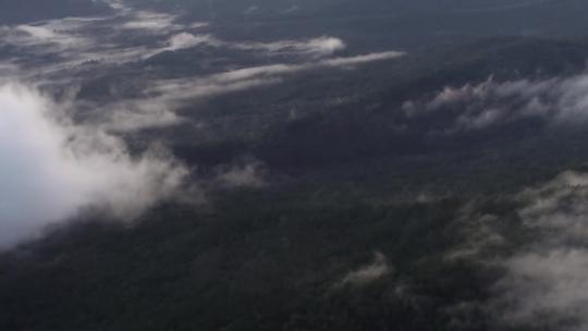 森林云海、云雾、延时 (5)视频素材模板下载