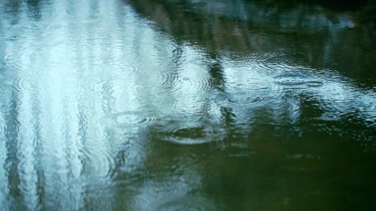 雨中湖面雨滴水面涟漪升格