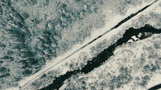 达古冰川下雪的森林公路航拍
