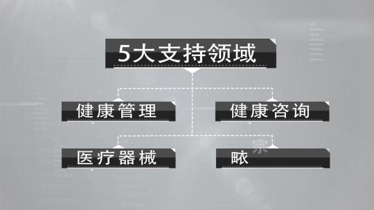 简洁科技企业架构框架信息文字分类展示