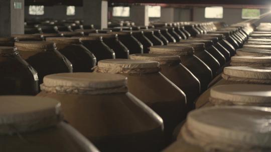 酒厂 酒窖 白酒 酿酒 陈酿 发酵 酒缸 品酒视频素材模板下载
