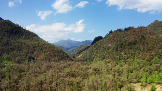 蓝天下的森林山川