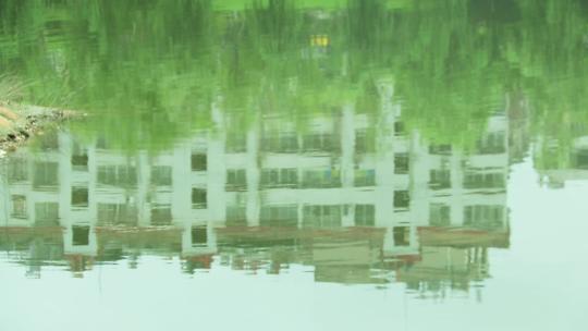 翠绿水面 碧绿水面 绿水中的建筑倒影
