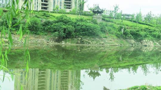 翠绿水面 碧绿水面 建筑倒影 柳树 柳枝柳叶