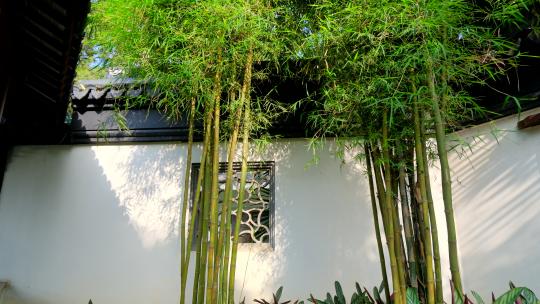 中式园林庭院围墙竹子视频素材模板下载