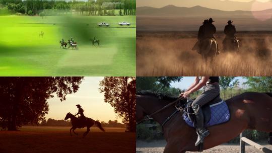 【合集】骑马的人马术比赛视频素材模板下载