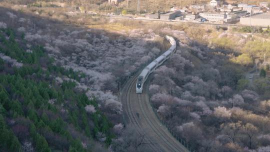 居庸关花海列车 北京市郊铁路S2线