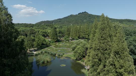 紫金山航拍 玄武湖航拍 白马公园 紫金山