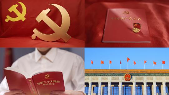 党 党建 天安门党旗红旗入党宣誓