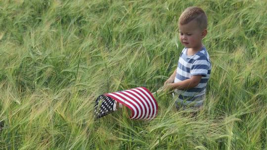 晴天独立日，男婴在麦田挥舞美国国旗