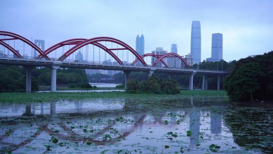 深圳洪湖公园水倒影彩虹桥